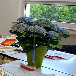 Blumen in vhs Kursraum